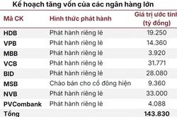 8 ngân hàng dồn dập muốn chào bán cổ phiếu quy mô 144.000 tỷ đồng, áp lực tăng vốn chưa hạ nhiệt
