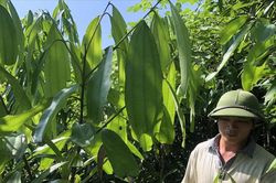 Lào Cai: Huy động hơn 7.000 tỷ đồng thực hiện chương trình mục tiêu quốc gia