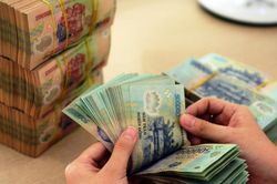 Ngân hàng 'bơm' trăm nghìn tỷ ưu đãi, doanh nghiệp nông nghiệp vẫn 'khát' vốn dài hạn