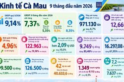 Kinh tế Cà Mau 9 tháng: Xuất khẩu hơn 2 tỷ USD, có 42 dự án đầu tư mới