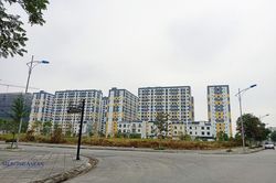 Cập nhật 9 tháng: Kinh tế, xã hội một số địa phương ở Hải Phòng khởi sắc