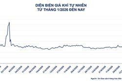 Thị trường hàng hóa: Vụ mùa Mỹ dồi dào tạo lực kéo trái chiều