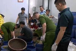 Quảng Ninh kiên quyết chặn thực phẩm bẩn từ gốc