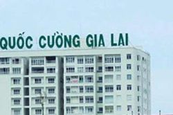 Quốc Cường Gia Lai (QCG) đưa bà Nguyễn Thị Như Loan trở lại vị trí Tổng giám đốc sau khi chấp hành xong án phạt