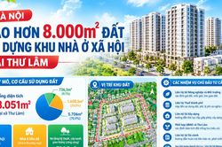 Hà Nội giao hơn 8.000m² đất xây dựng khu nhà ở xã hội tại Thư Lâm