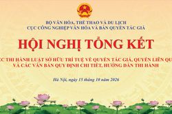 Tổng kết việc thi hành Luật Sở hữu trí tuệ về quyền tác giả, quyền liên quan