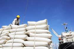 Giảm sức ép về giá, nâng giá trị hạt gạo Việt