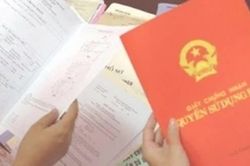 Đã nộp thuế đất nhưng vẫn nhận thông báo, Thuế Hà Nội hướng dẫn cách xử lý