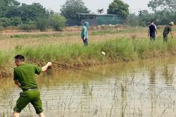 Công an xã Kiều Phú phát hiện, thu giữ dụng cụ bẫy chim hoang dã