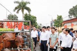 Hướng tới Tháng cao điểm vì người nghèo: Từ mái nhà đại đoàn kết đến sinh kế bền vững