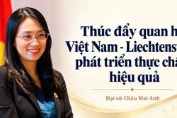 Thúc đẩy quan hệ Việt Nam - Liechtenstein phát triển thực chất, hiệu quả