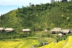 Không gian quảng bá, kết nối sản phẩm OCOP gắn với du lịch cấp vùng tại tỉnh Lào Cai năm 2026