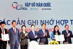 Gặp gỡ Hàn Quốc năm 2026 tại Đồng Nai