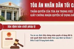 [Infographic] Thẩm quyền của Tòa án trong việc hủy Giấy chứng nhận quyền sử dụng đất