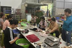 Công an Lạng Sơn quyết liệt đấu tranh, xử lý các cơ sở sản xuất, chế biến thực phẩm vi phạm
