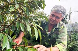 Cựu chiến binh là nhà nông tỷ phú