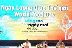 Việt Nam thúc đẩy sáng tạo và hợp tác vì hệ thống lương thực bền vững