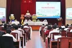 Phát huy vai trò luật gia trong tháo gỡ vướng mắc về cơ chế, chính sách