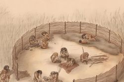 Hé lộ kỹ năng chế tác đồ gỗ của người Neanderthal