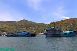 Bộ Nông nghiệp và Môi trường yêu cầu siết chặt quản lý đội tàu cá, kiểm soát nguồn gốc thủy sản khai thác