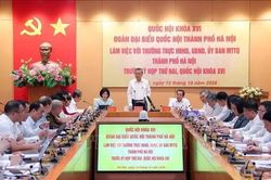 Tổng Bí thư, Chủ tịch nước Tô Lâm: Chính sách phải tạo ra thuận lợi cho sản xuất, kinh doanh