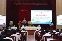 Hội Luật gia TP.HCM đẩy mạnh chuyển đổi số, đưa pháp luật đến gần người dân