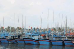 Gia Lai siết quản lý đội tàu, ngăn chặn vi phạm khai thác IUU