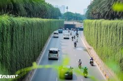 Từ 'đối phó' sang 'quản trị': Bước chuyển căn bản tư duy bảo vệ môi trường