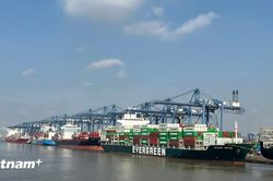 EuroCham: Niềm tin kinh doanh vững vàng song rào cản hành chính còn thách thức