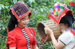 Hợp nhất 3 Chương trình mục tiêu quốc gia: Bước chuyển rõ trong tư duy xây dựng pháp luật