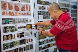 Những phát hiện mới về Khảo cổ học toàn quốc lần thứ 61, năm 2026