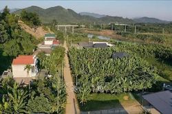 Tăng tiến độ giải phóng mặt bằng tuyến đường sắt Lào Cai - Hà Nội - Hải Phòng