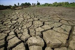 Anh: Một số khu vực miền Nam ban bố tình trạng 'hạn hán nghiêm trọng'