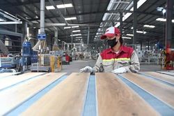 Thương hiệu quốc gia: Động lực nâng tầm năng lực doanh nghiệp Việt