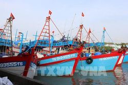 Khắc phục 'thẻ vàng' IUU: Quản lý chặt đội tàu cá, truy xuất nguồn gốc thủy sản khai thác