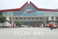 Gỡ vướng thủ tục thuế để hoàn tất việc xuất cảnh