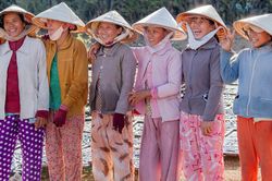 13 triệu phụ nữ Việt Nam và những nguy cơ sức khỏe phía sau tuổi mãn kinh