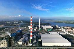 Nhiệt điện Hải Phòng dồn dập biến động ở thượng tầng