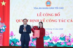 Bổ nhiệm Phó Vụ trưởng Vụ Giám đốc, kiểm tra về hình sự