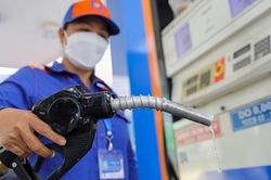 Petrolimex giảm thêm 300 đồng/lít xăng dầu, áp dụng đến ngày 29/10