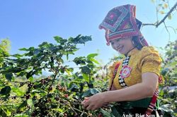 Arabica Sơn La hướng tới thương hiệu cà phê tiêu biểu ASEAN