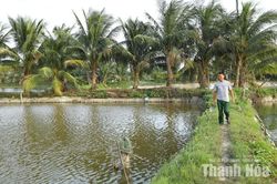 Cần tháo gỡ khó khăn trong quản lý, sử dụng đất công ích
