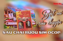 Bật mí câu chuyện sau chai rượu sim OCOP