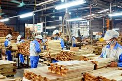 Doanh nghiệp gỗ lao đao vì vướng mắc thủ tục nhập khẩu và thuế VAT