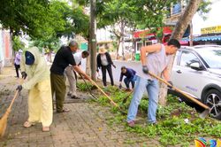 Phường An Hải nâng cao hiệu quả bảo vệ môi trường, xây dựng đô thị xanh - sạch - đẹp