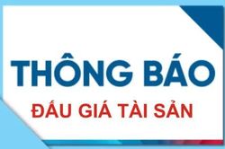 Trung tâm Dịch vụ đấu giá tài sản tỉnh: Thông báo đấu giá tài sản