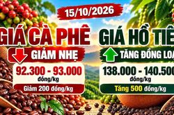 Giá cà phê, hồ tiêu hôm nay 15/10: Cà phê giảm, hồ tiêu đồng loạt tăng