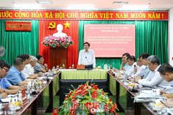 Giám sát việc thực hiện khu tái định cư dự án đường đôi vào TP. Phan Rang - Tháp Chàm