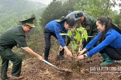 Sức trẻ biên cương
