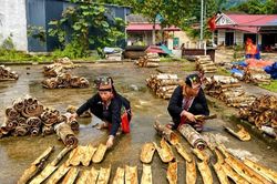 Đưa nghị quyết vào cuộc sống từ lợi thế địa phương